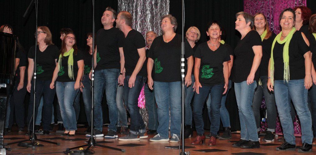 Der moderne Chor des Liederkranz Malsch beim Jubiläumskonzert von Freundschaft-Konkordia