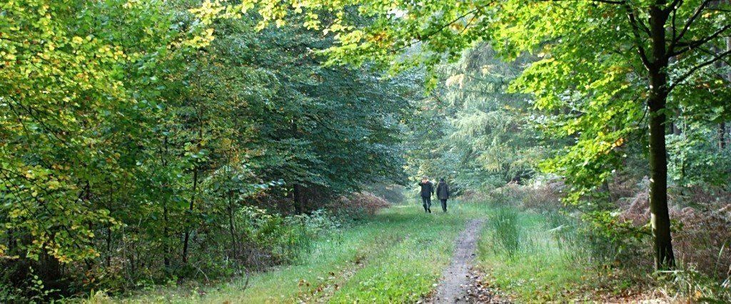 Schweißhunde Prüfung 2017