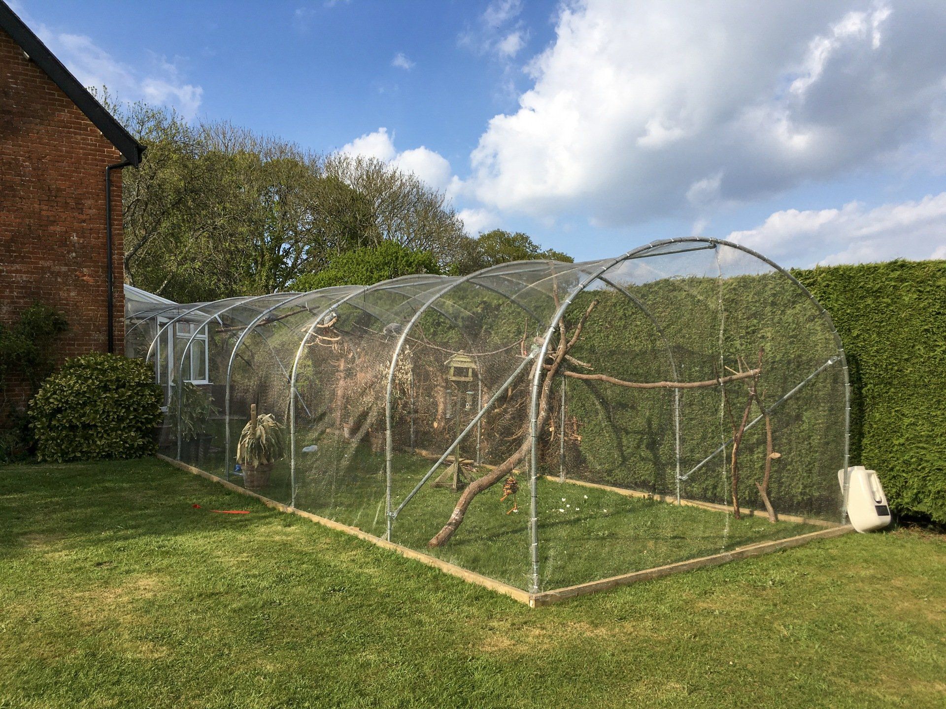 Polytunnel aviary structure in back garden