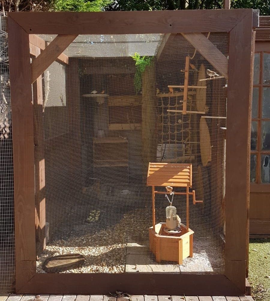 Square wooden aviary structure with ClearMesh aviary mesh