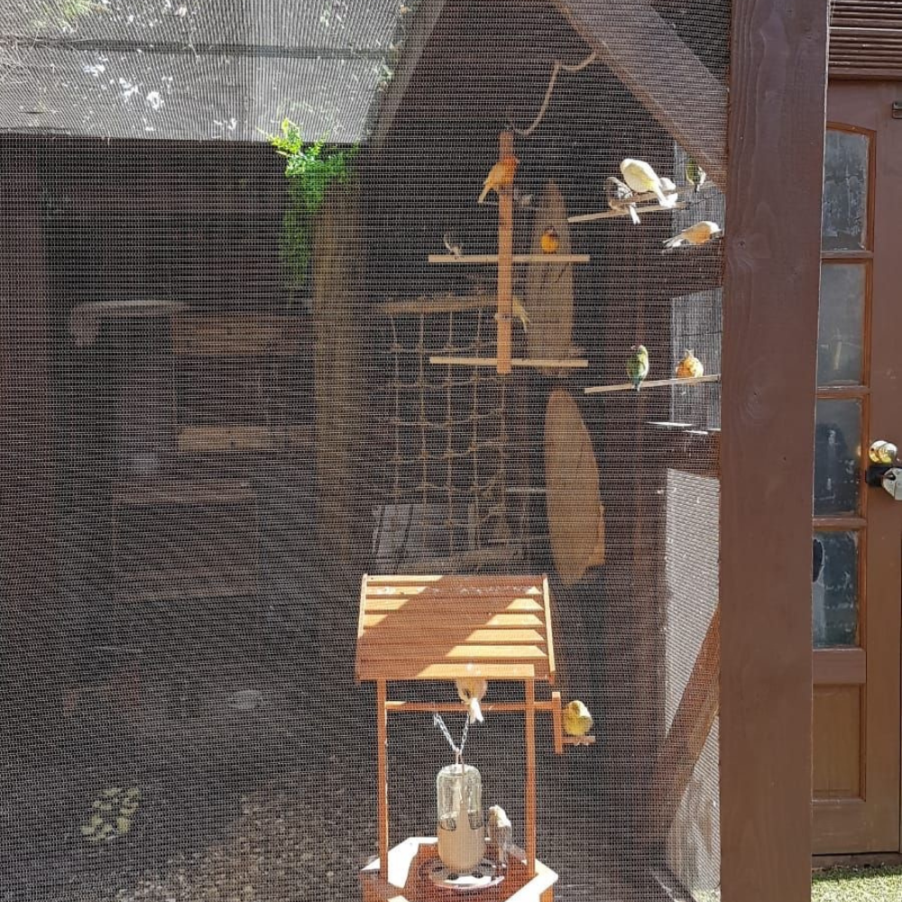 Variety of birds behind ClearMesh25 mesh