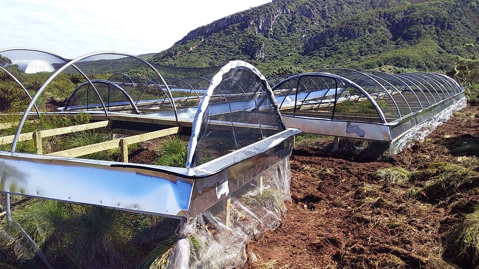 Polytunnel aviary structure on Gough Island