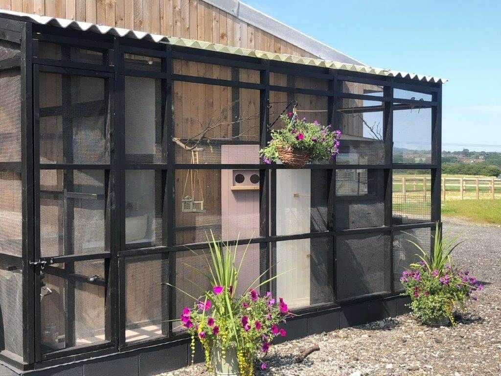 Black wooden aviary structure with ClearMesh aviary mesh