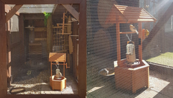 Square shaped aviary with birds perching on wooden well with close up of ClearMesh aviary mesh