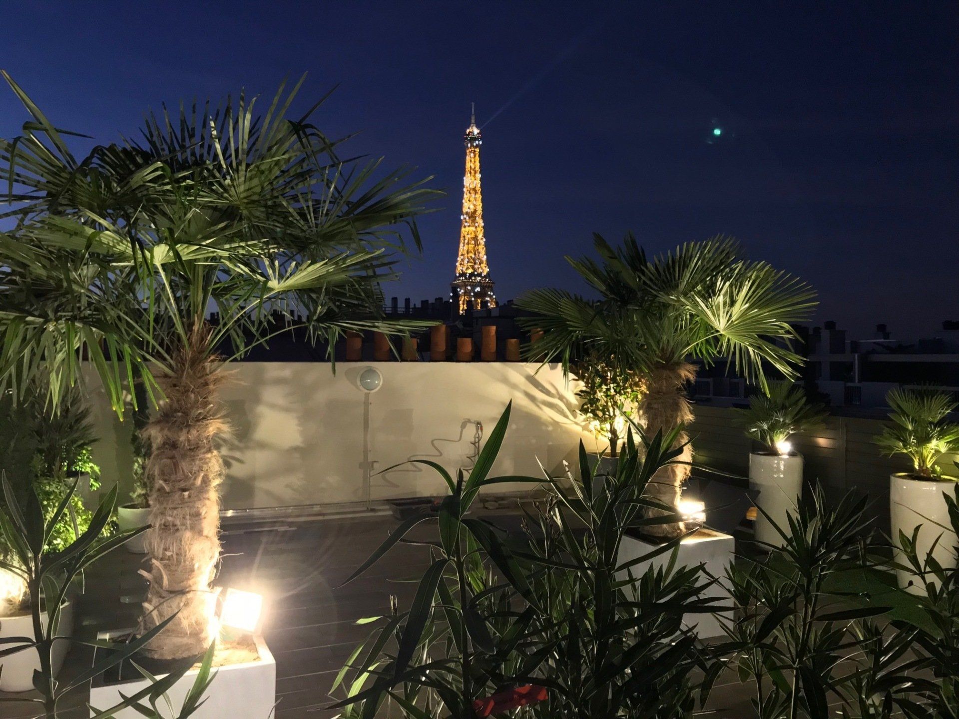 terrasse paris 15, éclairage et arrosage automatique, claustras gris, sol grès cérame, pots céramique et fiberstone, palmier