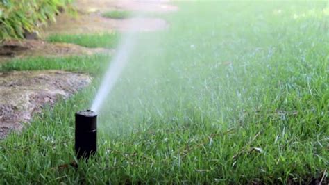 arrosage automatique pour jardin et terrasse