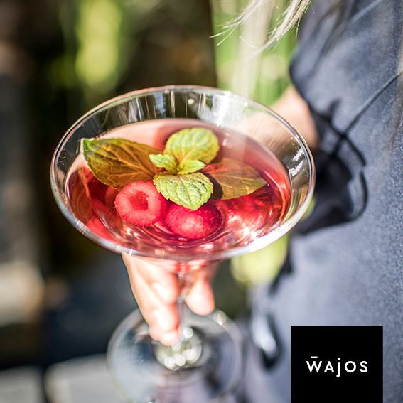 Lemon Dry Fizz Lemon Dry Fizz