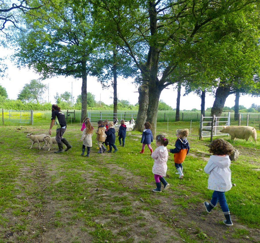 animation visite ferme animaux