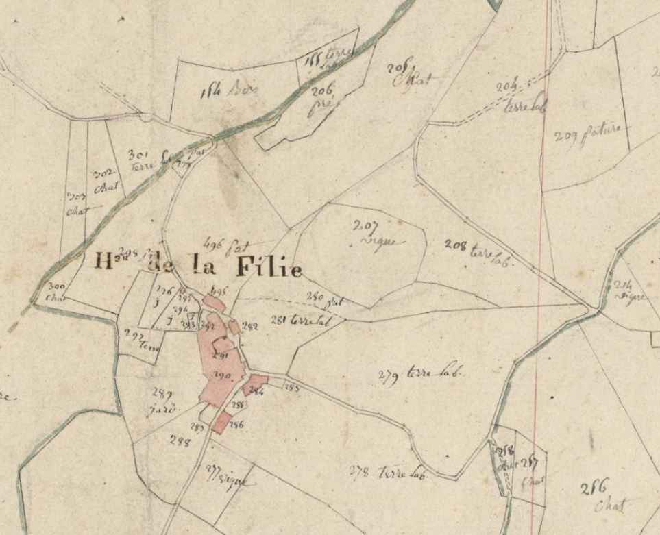 Exemple d’un plan qui donne le nom en clair du type de terrain: vigne, pâture, bois, terre labourable….