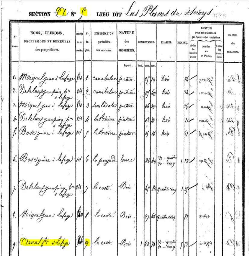 Extrait de l'état de section A.5 de Saint André de Najac pour illustrer une numérotation par lieu-dit
