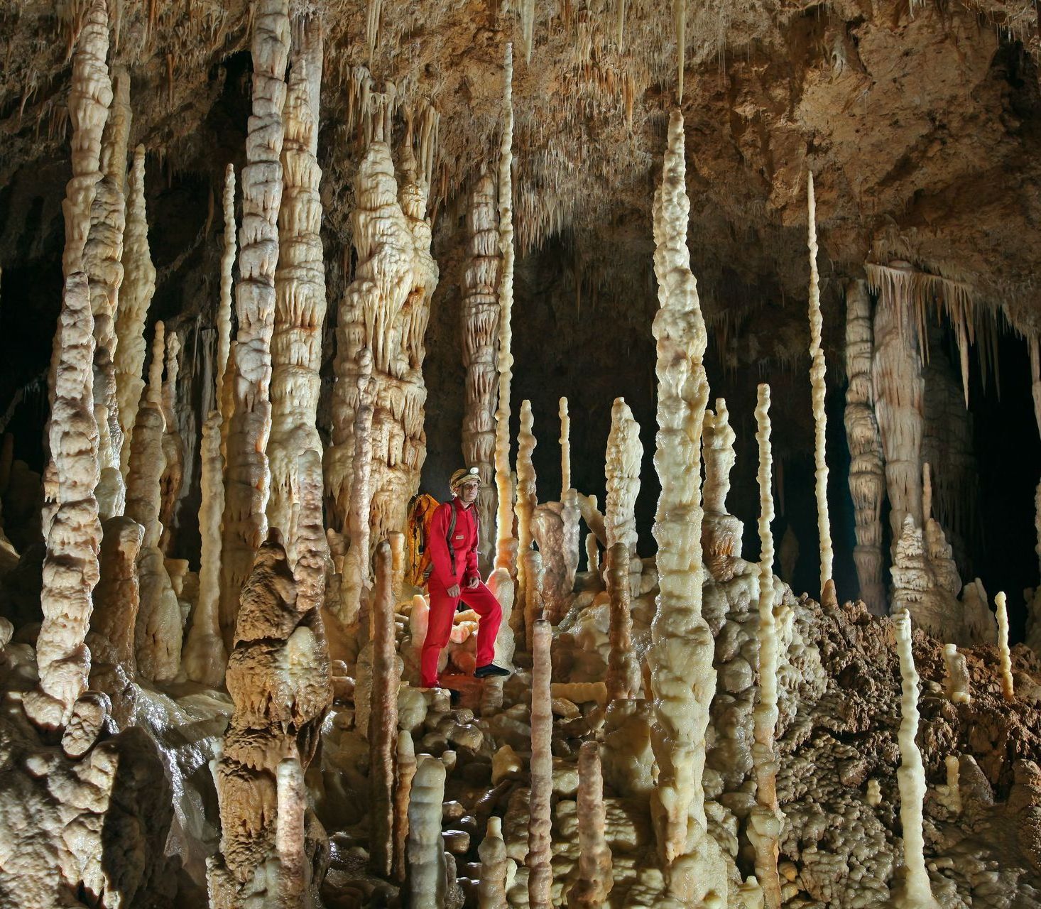 Foto: Arge Blautopf /Andreas Kücha