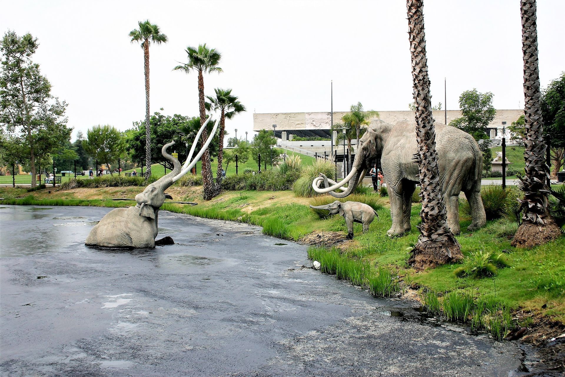 Originalgetreue, lebensgroße Nachbildungen des ausgestorbenen Nordamerikanischen Mammuts am „Lake Pit“ (Foto: Blank)