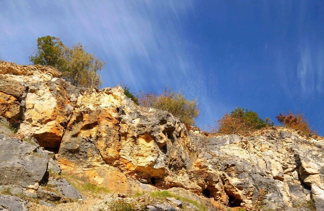 Steinbruch Urweltpfad - Andreas Ziemann