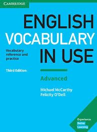 English Vocabulary in Use: Advanced
