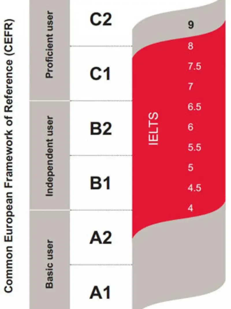 Grafico Puntuacion IELTS EEI English Examination Institute