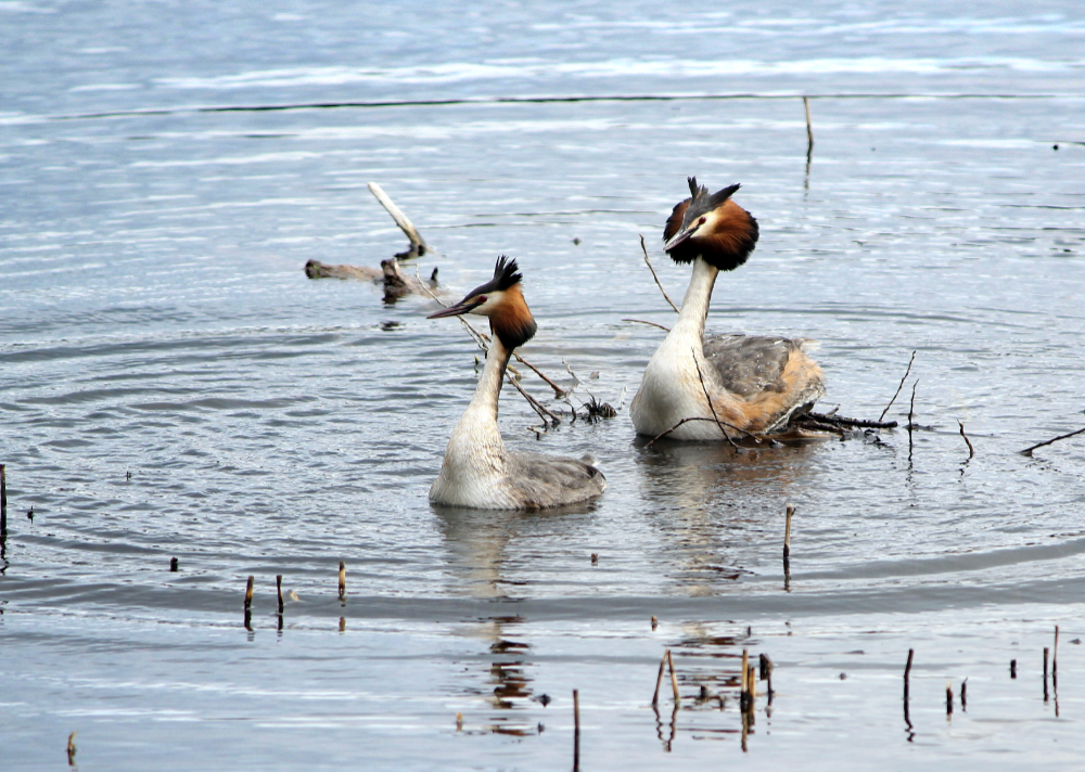 Ian Bell, Photo Competition winner in 2019 The annual Photo Competition of Craigencalt Trust