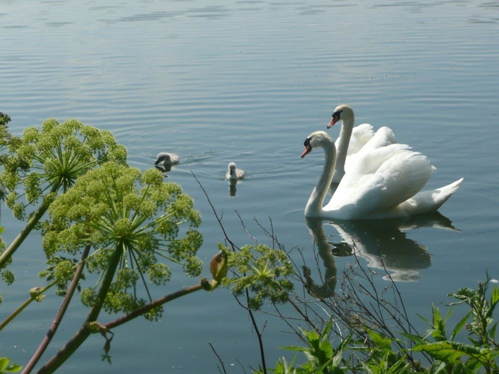 Kathleen Curley at the loch 2014
