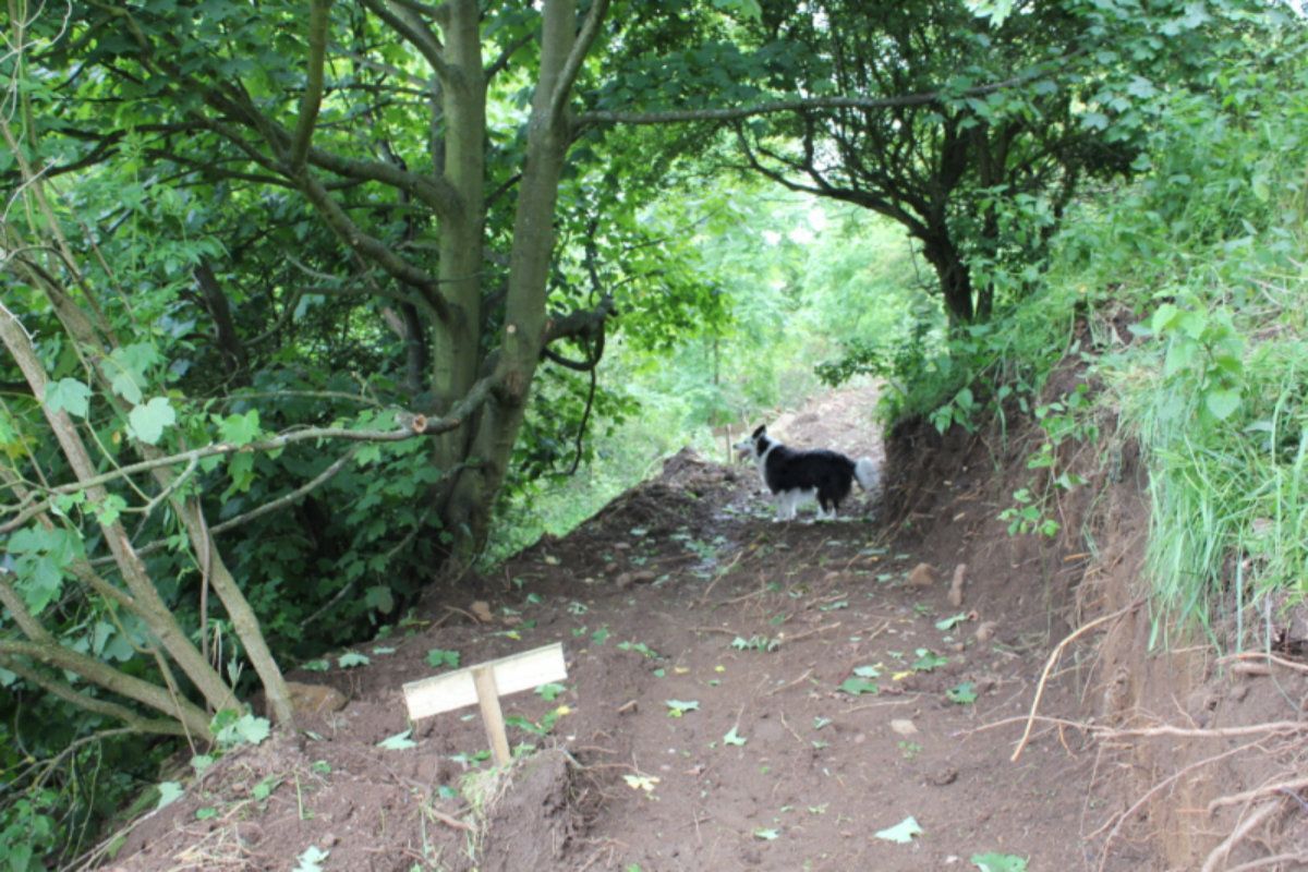 Cutting through during construction of the Rodenbraes Path.