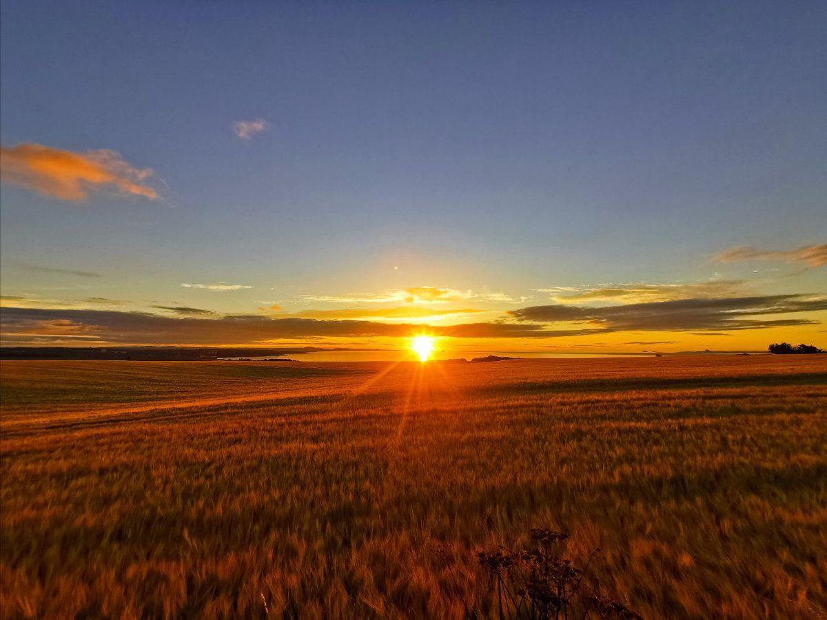 Sunrise from the Kissing Trees.