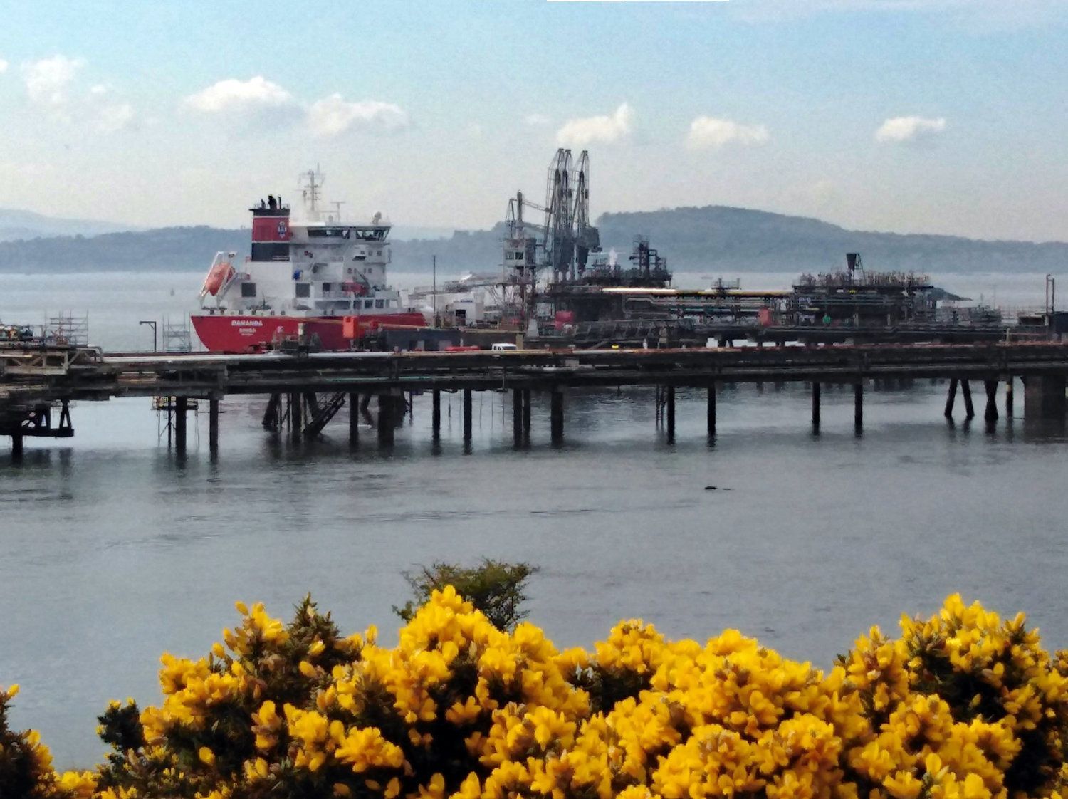 Harmony of nature and industry.