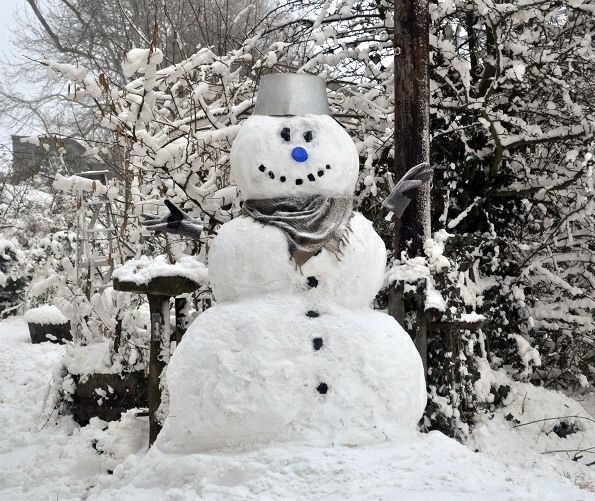 The mystery person at the farm