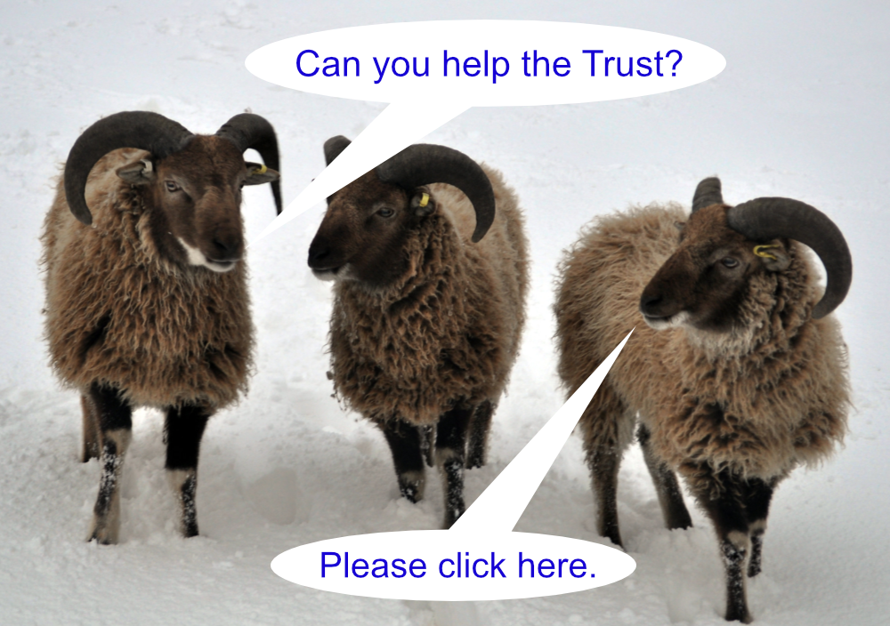 Appeal for Friends to help with managing the Trust. Appeal for Friends to help manage the Trust.