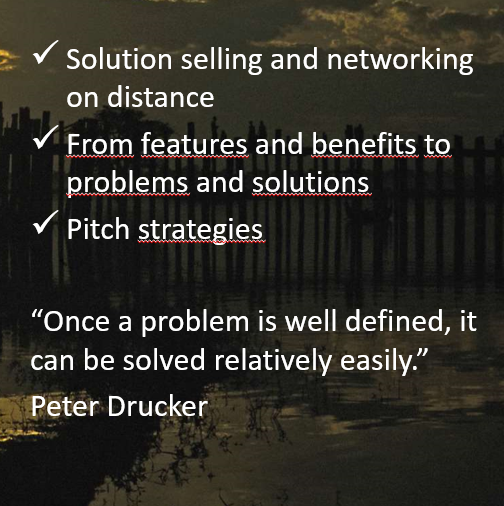 Consultative Selling Solution selling probleme