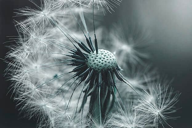 oesterle.therapie.gesprächstherapie gauting - Unterstützung bei Einsamkeit.