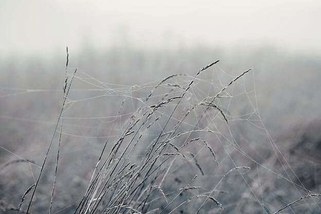 oesterle.therapie.gesprächstherapie gauting - Unterstützung bei Einsamkeit.