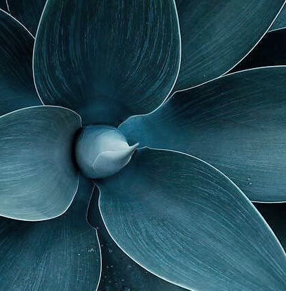 oesterle.therapie - Life Coaching für Jugendliche und Erwachsene.