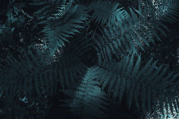 oesterle.therapie.gesprächstherapie.gauting - Unterstützung bei Erschöpfung.