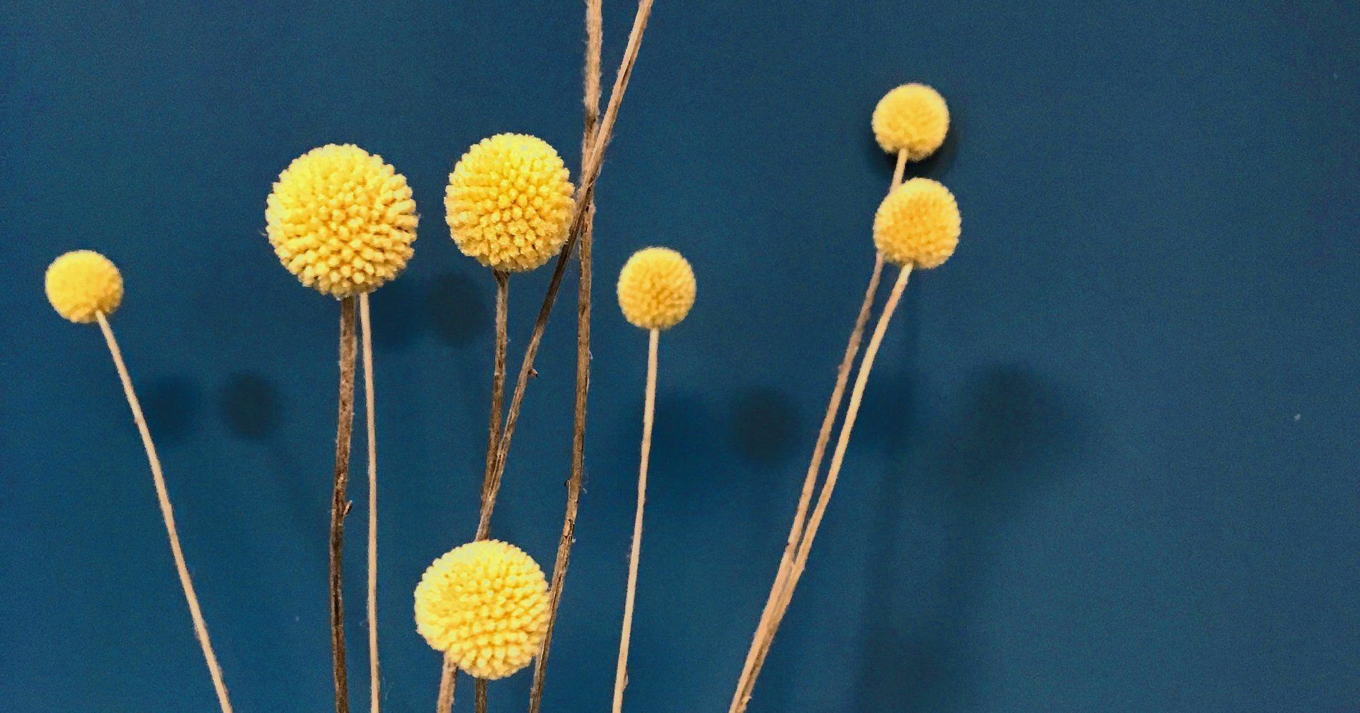 oesterle.therapie - Ich biete in meiner Praxis Gesprächstherapie und Life Coaching für Jugendliche und Erwachsene an.