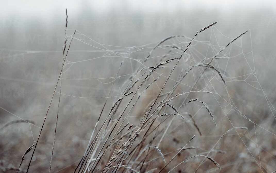 oesterle.therapie.gesprächstherapie gauting - Unterstützung bei Einsamkeit.