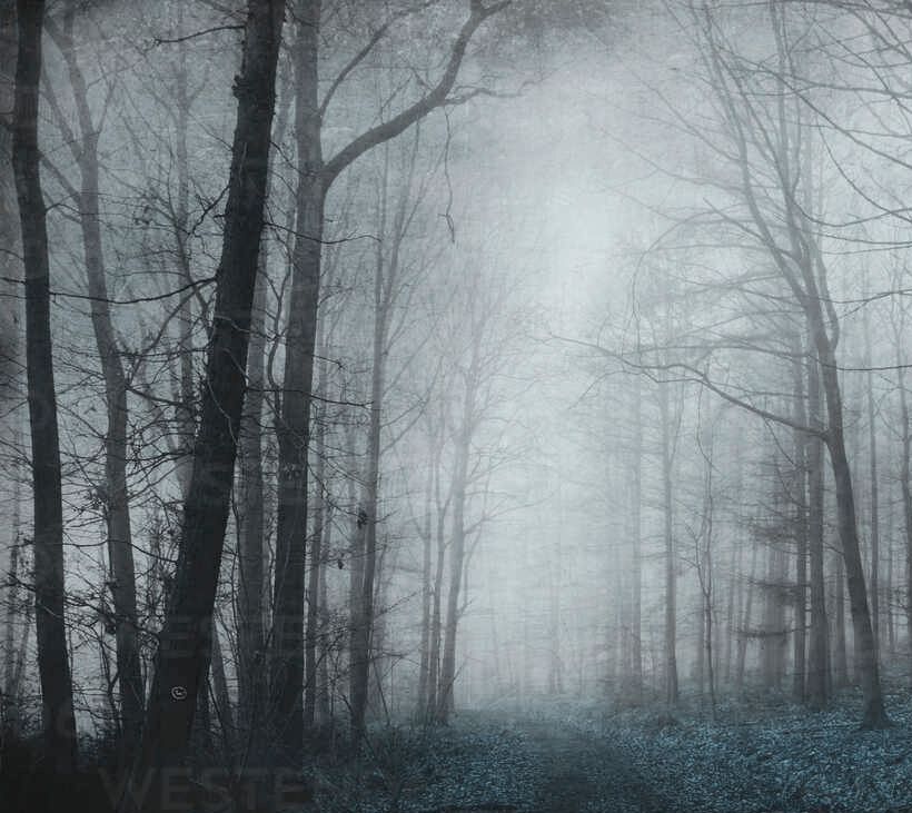 oesterle.therapie.gesprächstherapie.gauting - Unterstützung bei Ängsten.