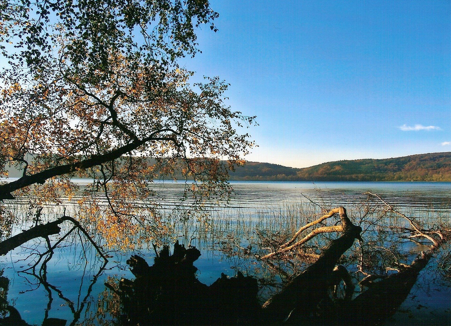 Größter See von Rheinland-Pfalz, Laacher See, 8 km von Ferienwohnung Basche, Oberzissen
