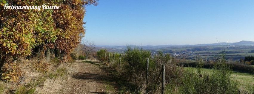 Zahlreiche Wanderwege in der nahen Umgebung Wandern im Brohltal , Vulkanpark Laacher See, Eifel