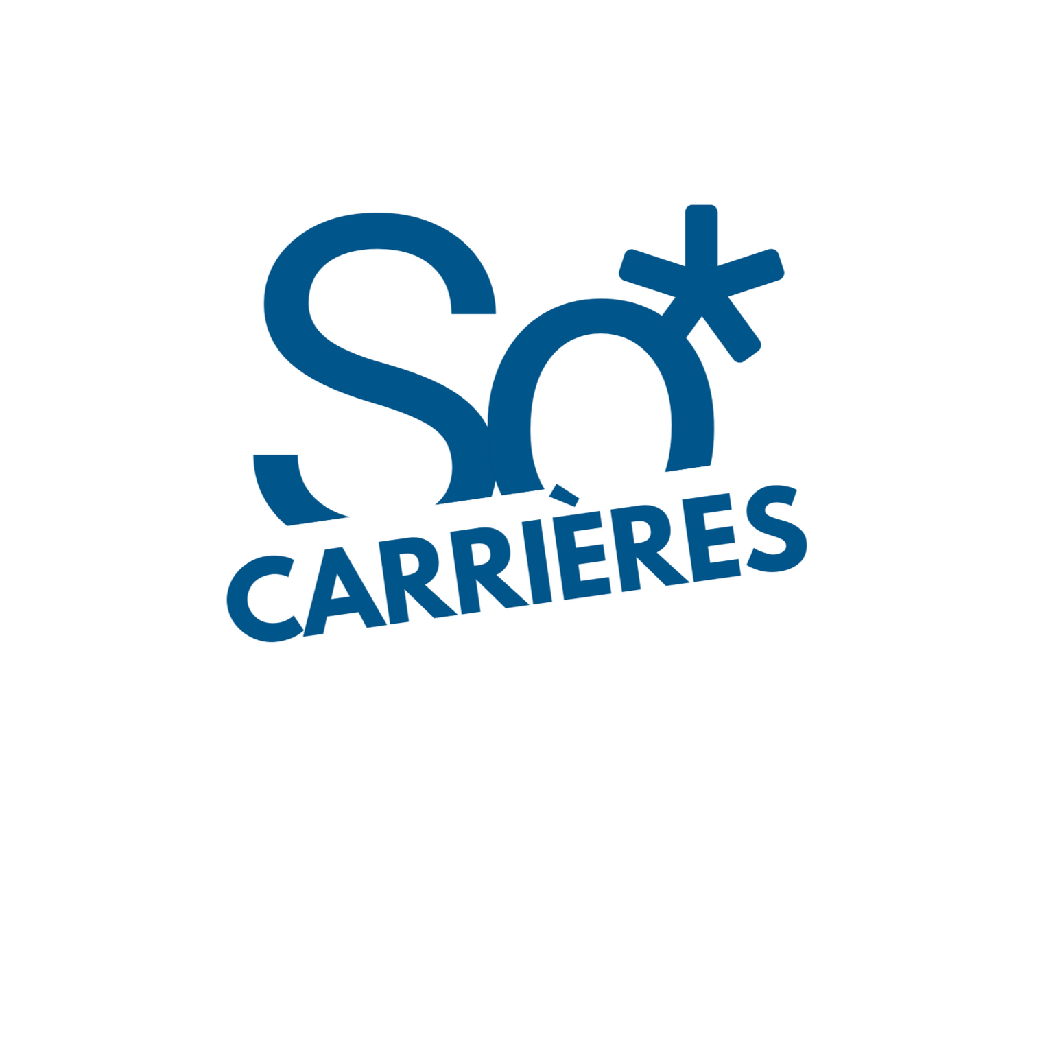 Équipe SoCARRIÈRES avec Christophe DELRIEU Équipe SoCARRIÈRES avec Christophe DELRIEU