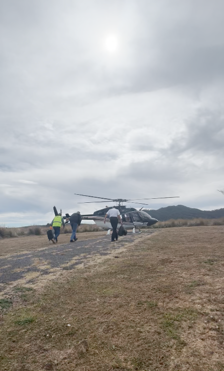 ?- A donde te gustaría viajar?
?- Cuántas personas viajan?
?- En qué fechas te gustaría?