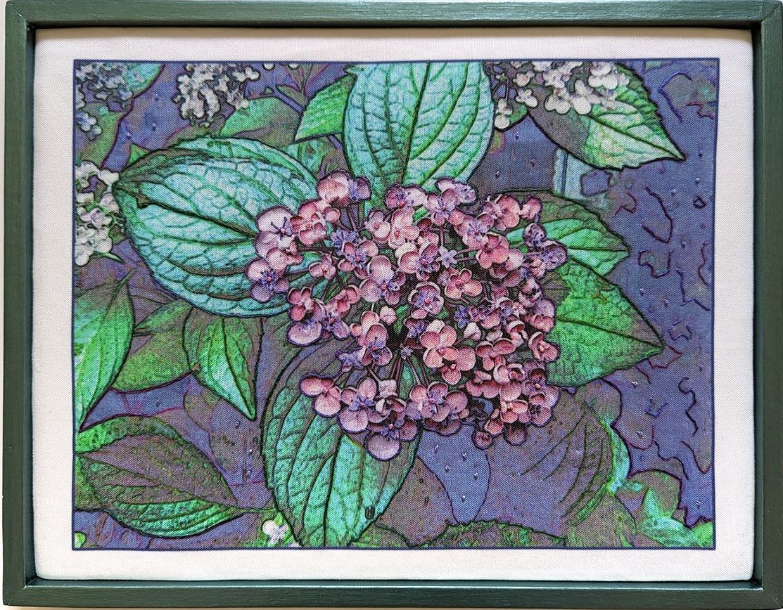 Popcorn Hydrangea by Julia Carpenter