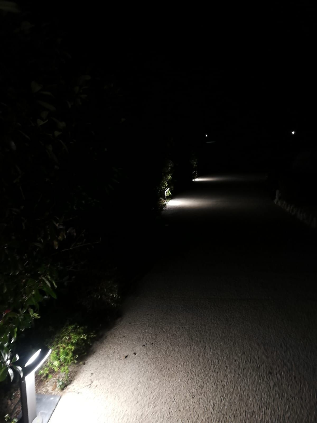 покраска деревянных ставен в Канны, нужно покрасить фасад в Канны, покраска фасада в Канны не дорого, покраска квартиры в Канны, нужно покрасить квартиру в Канны, покрасить квартиру не дорого Канны, покраска стен в Канны, Малярные работы в Канны, снятия штукатурки с потолка в Канны,