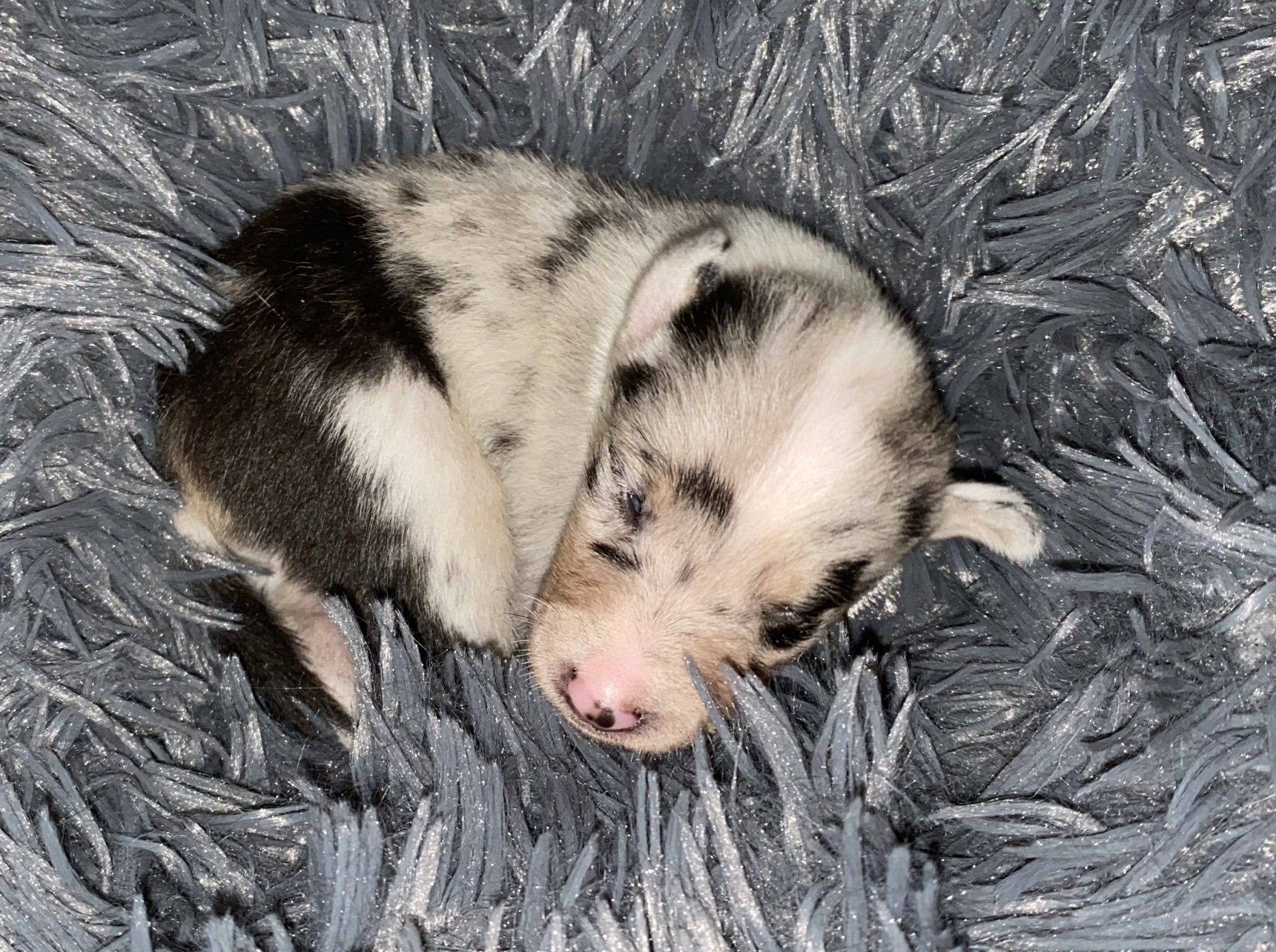 Captain America 24.03.2021