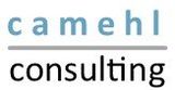 Logo it-consulting camehl
