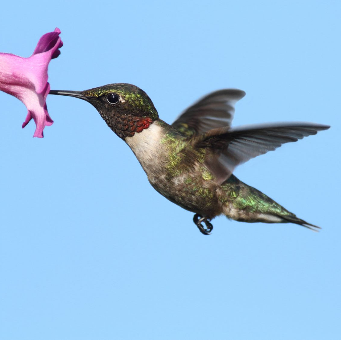 Coming soon... Coming soon...