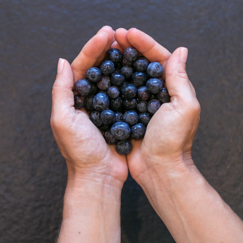 Hände mit Beeren