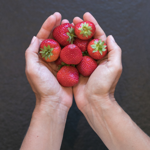Hände voll Erdbeeren