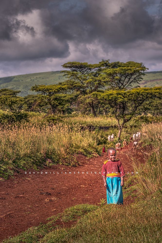 Young African girls tending a flock of family sheep, Tanzania