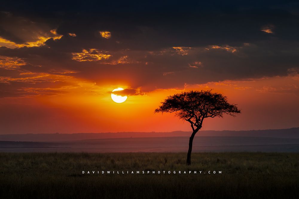 Extremely colorful skies at sunrise over the plains of Africa, Kenya