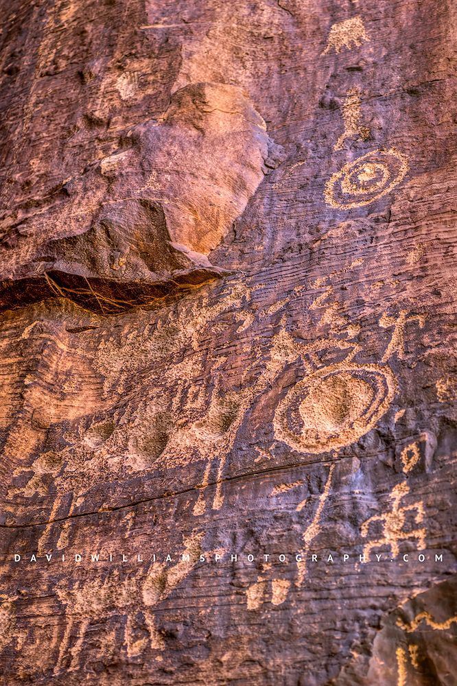 Petroglyphs from the Archaic Period, Art Rock Ranch, Arizona