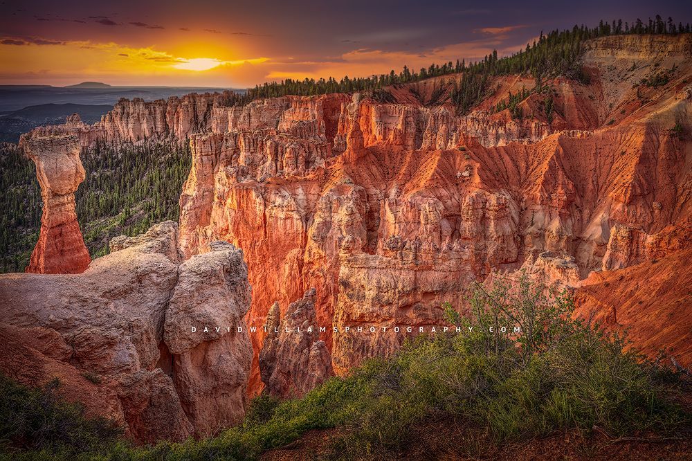 Sunlit hoodoos in Agua Canyon at sunrise, Bryce National Park, Utah