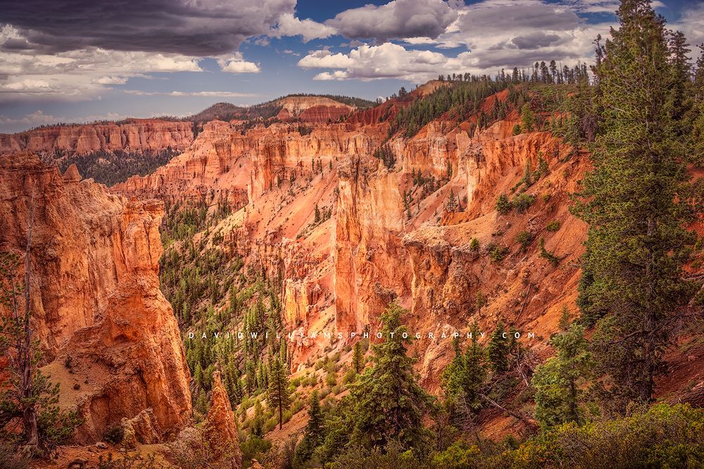 Dappled sunlight over Black Birch Canyon, Bryce Canyon National Park, Utah